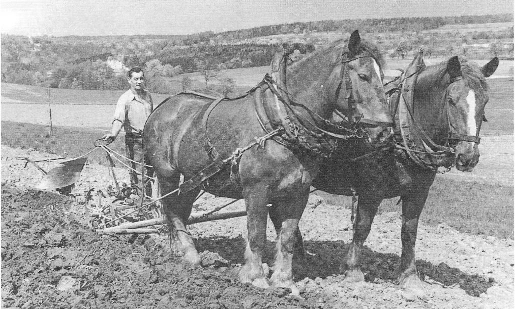 Die Landwirtschaft im 19. und 20. Jahrhundert – Scheringen